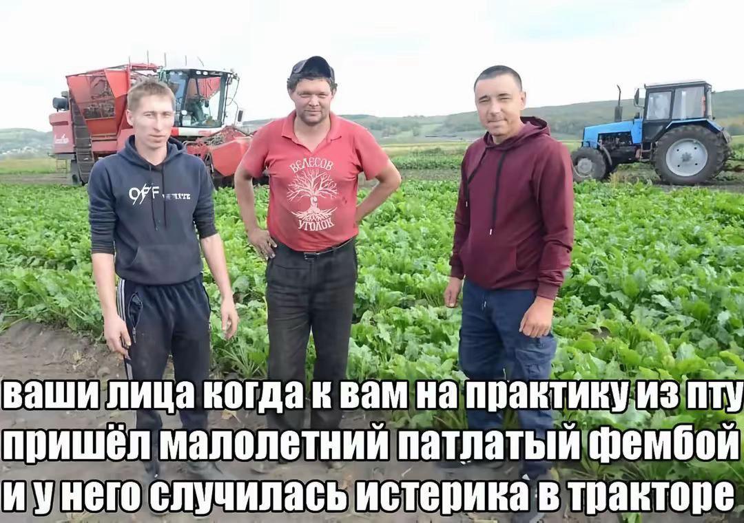 A №2 22> OFF я a ваши лица когда вам Hal практику, ИЗ пришёл малолетний патлатый фембой степика в