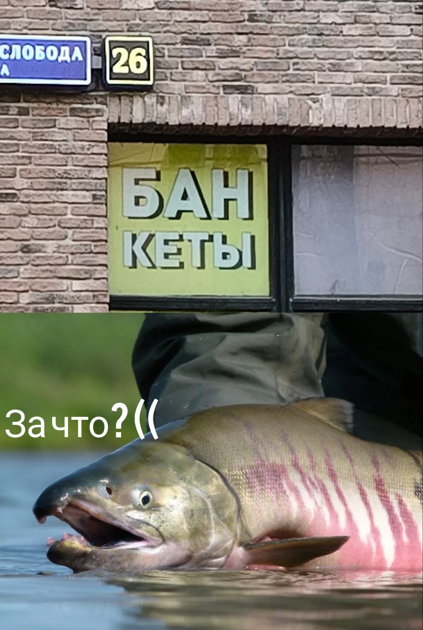 Увидел дурацкую вывеску и сделал еще более дурацкий мем