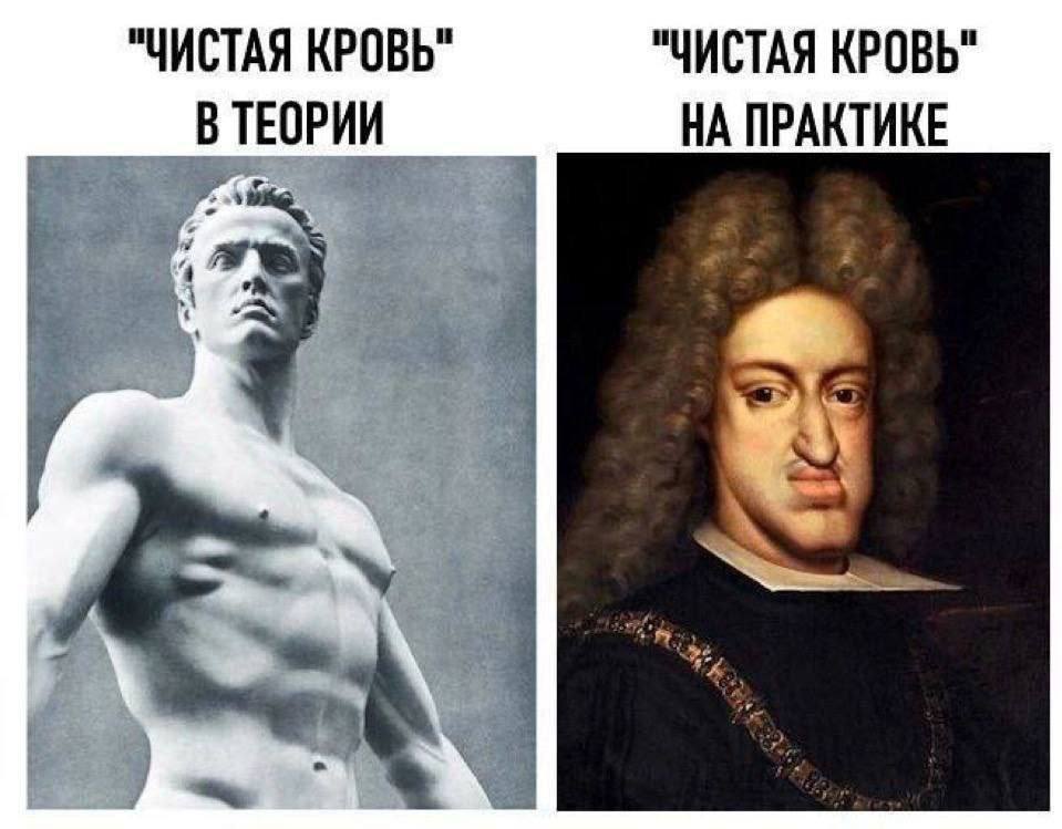 "ЧИСТАЯ КРОВЬ" "ЧИСТАЯ КРОВЬ" НА ПРАКТИКЕ ВТЕОРИИ he
