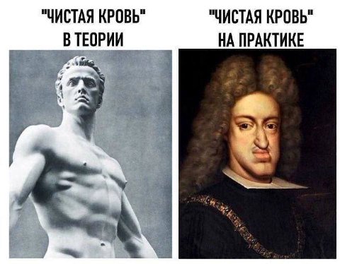 "ЧИСТАЯ КРОВЬ" "ЧИСТАЯ КРОВЬ" НА ПРАКТИКЕ ВТЕОРИИ he