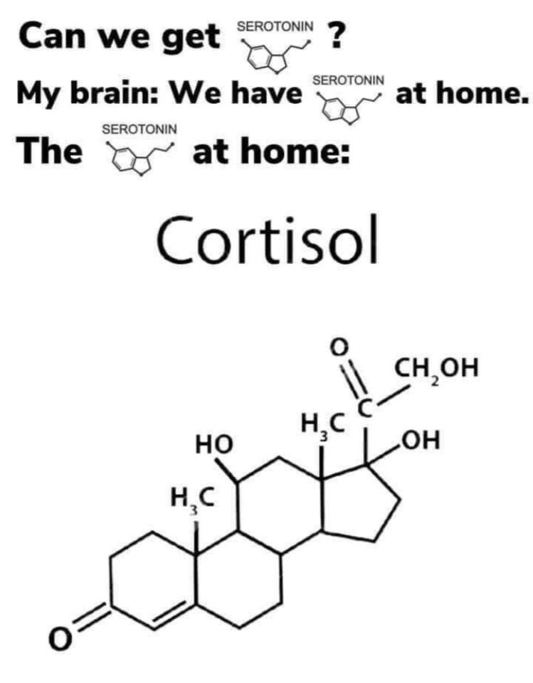 Can we get SEROTONIN SEROTONIN My brain: We have at home SEROTONIN The at home: Cortisol О С