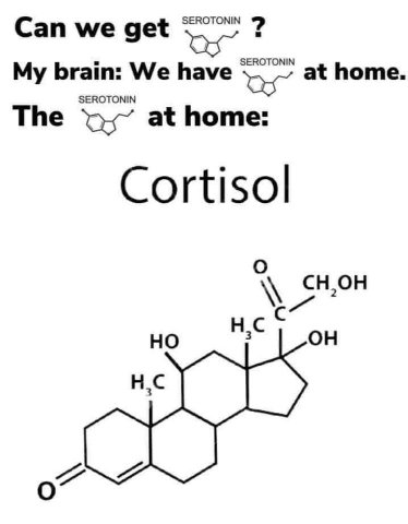 Can we get SEROTONIN SEROTONIN My brain: We have at home SEROTONIN The at home: Cortisol О С
