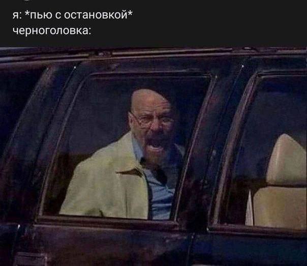 я: *пью с остановкой* черноголовка: