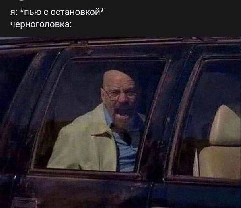 я: *пью с остановкой* черноголовка: