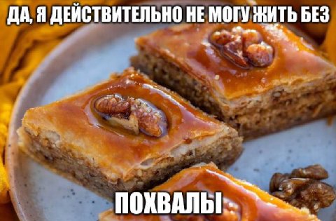 ДА, Я ДЕЙСТВИТЕЛЬНО НЕ МОГУ ЖИТЬ БЕЗ