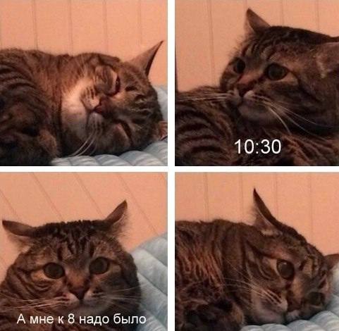 10:30 А мне к 8 надо было