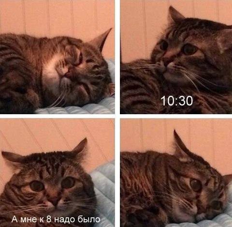 10:30 А мне к 8 надо было