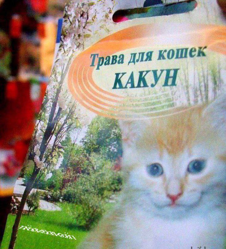 Трава для КАКУН я of о