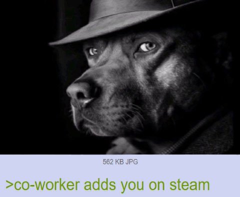 562 JPG >co-worker adds you on steam