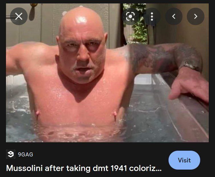 Mussolini after taking dmt 1941 coloriz