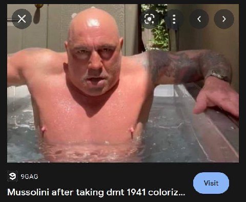 Mussolini after taking dmt 1941 coloriz