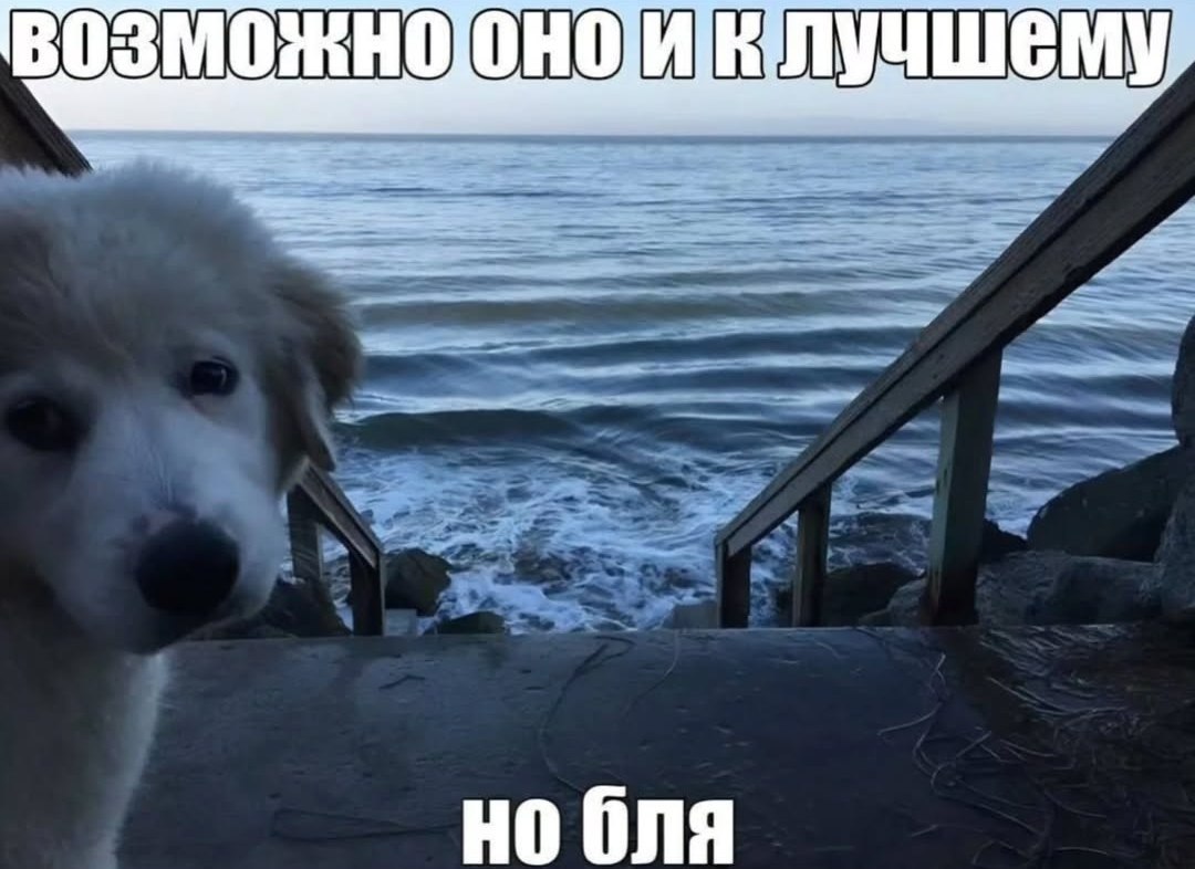 В ЭМО or НО Ona