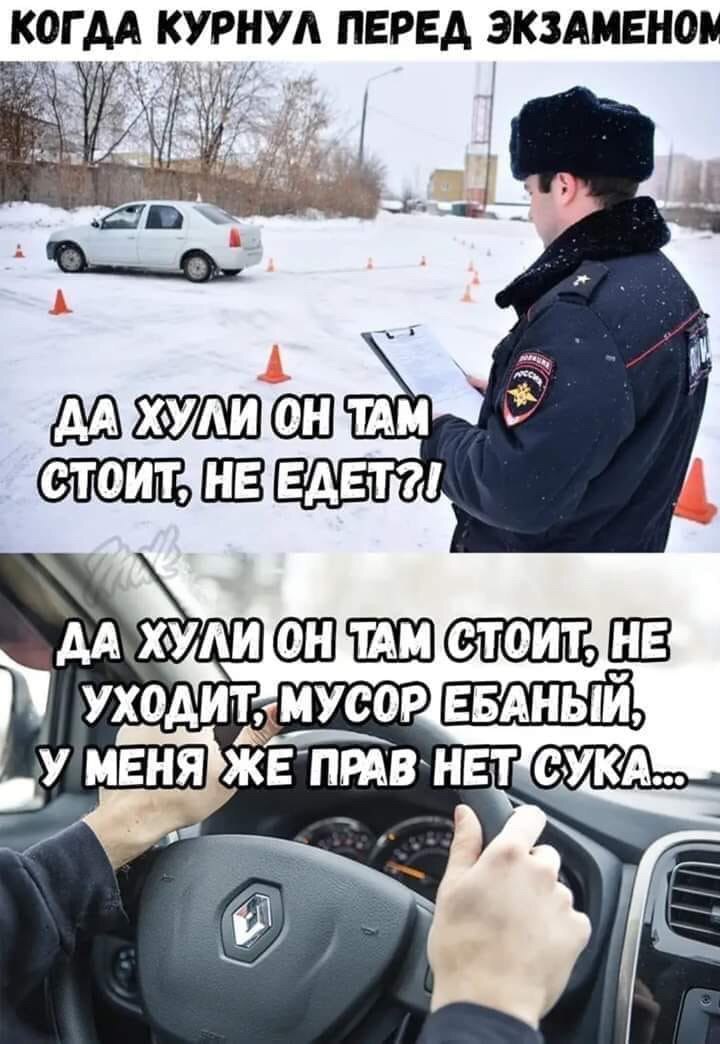 KYPHYA ЭКЗАМЕНОМ ТАМ УХОД МУСОМЕ MEHAPKE `ПРАВ`НЕТ