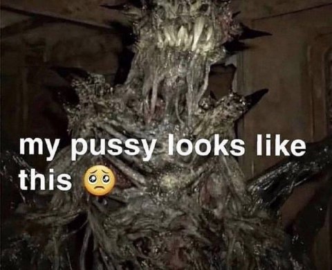 my pussy looks like