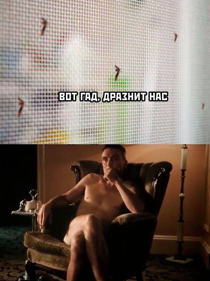 “2. Bag a ivr rial, Ree thes, bea, tee Live hes Stas a и be LET Dany we dee в i: 3a 4: be 4 i #594 чех ДРАЗНИТ tod a a у +5 95 18 a 9 me #1