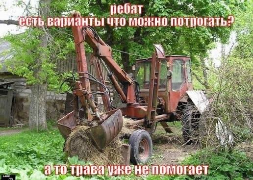 ребят as варианты ЧТО a 0 трава He помогает
