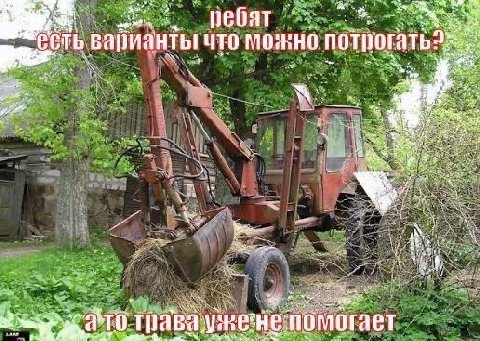 ребят as варианты ЧТО a 0 трава He помогает