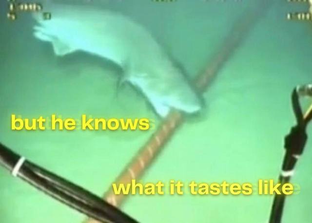 but he knows. like