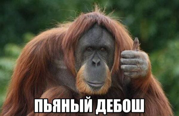 ПЬЯНЫЙ ДЕБОШ