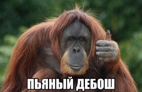 ПЬЯНЫЙ ДЕБОШ