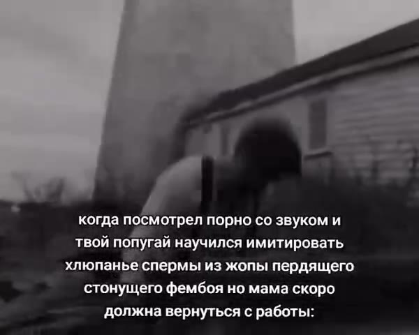 Р когда посмотрел порно со звуком и твой попугай научился имитировать хлюпанье спермы из жопы пердящего стонущего фембоя но мама скоро должна вернуться с работы: № должнаверну ься сработье atl
