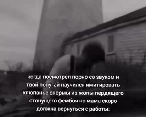 Р когда посмотрел порно со звуком и твой попугай научился имитировать хлюпанье спермы из жопы пердящего стонущего фембоя но мама скоро должна вернуться с работы: № должнаверну ься сработье atl