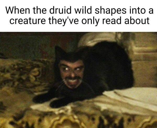 When the druid wild shapes into a creature they've only read about