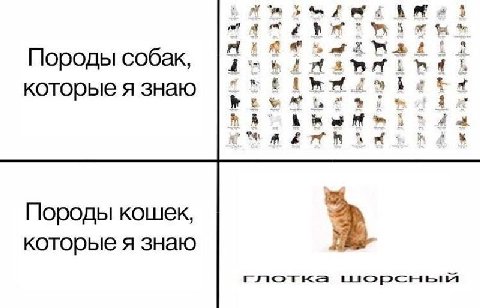 2 a Породы собак которые я знаю a A Породы кошек которые я знаю 2 гутот