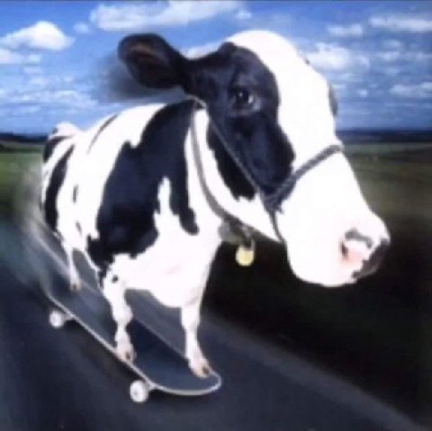 5 4