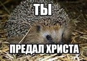 ПРЕДАЛ