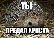 ПРЕДАЛ