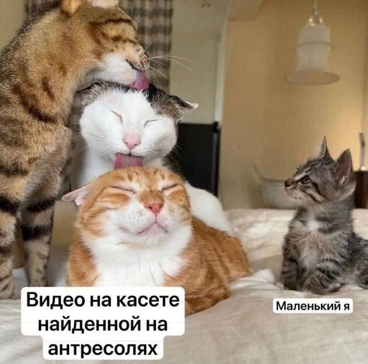 “Mom, Видео касете Маленький я наиденнои на антресолях