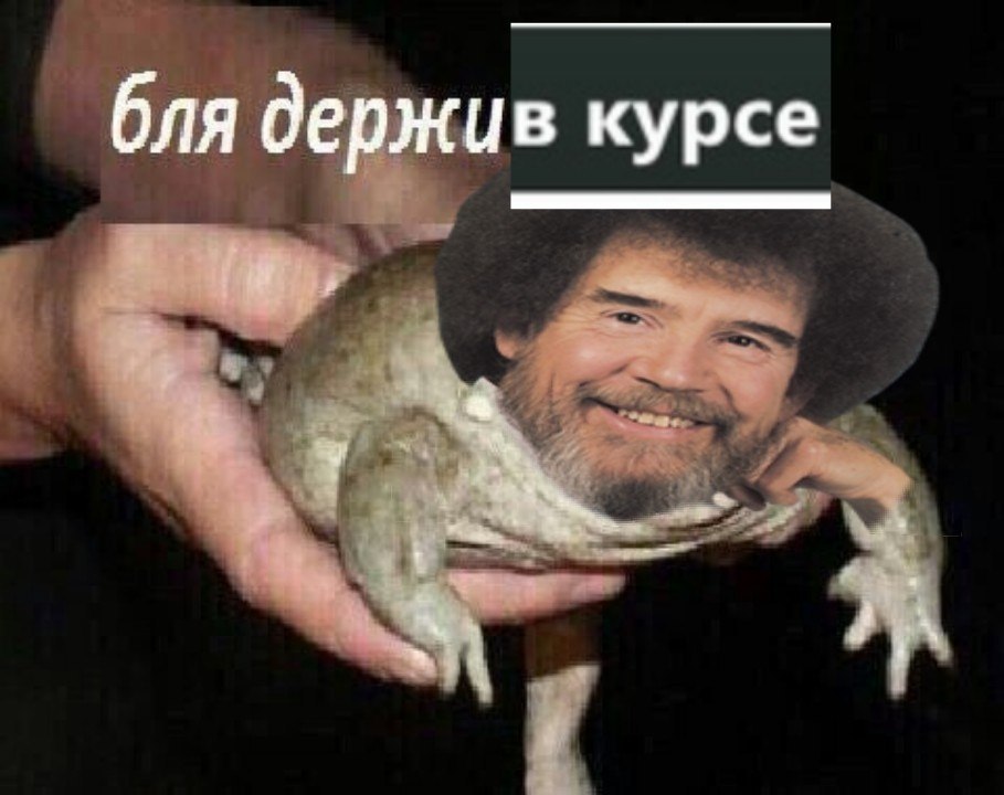 бля держив курсе i