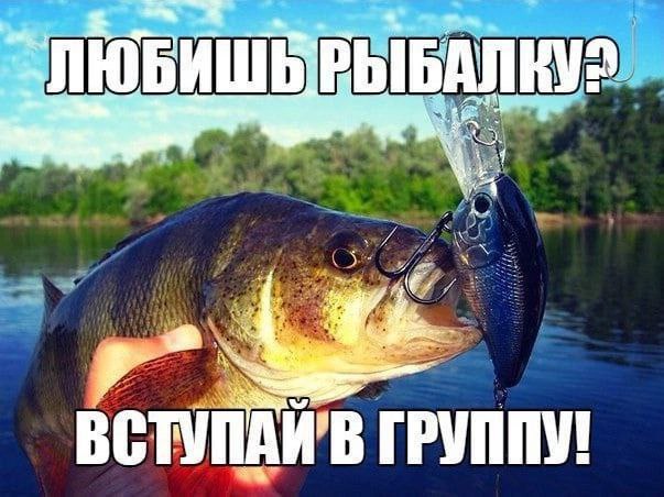 7% ГРУППУ!