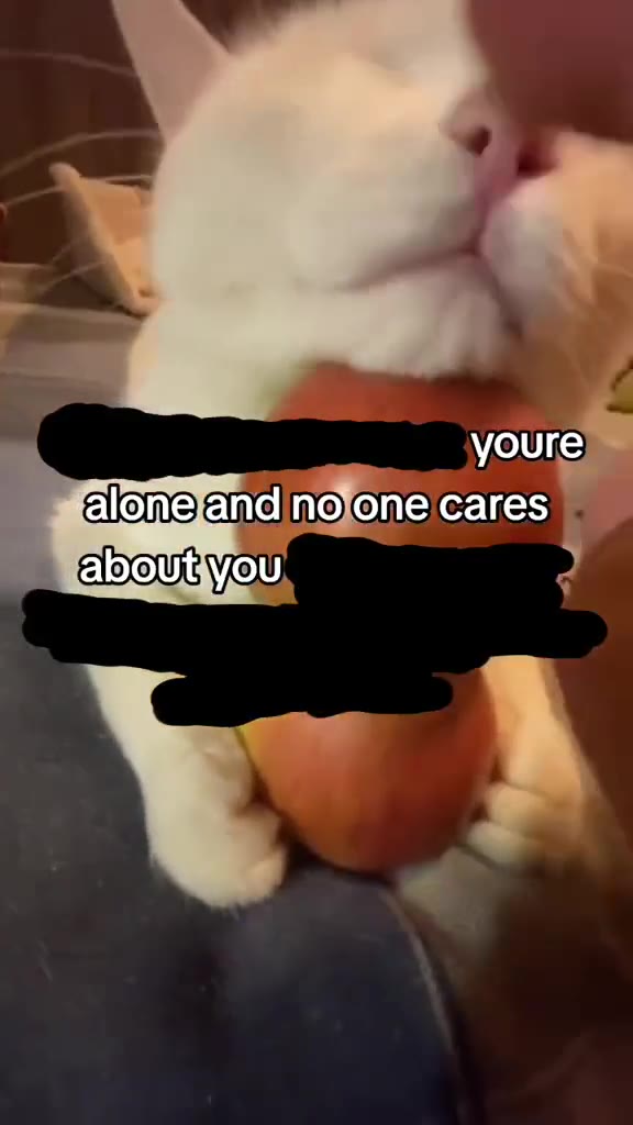 = ДЕЛО СЛОЕНЫВ, falonefand поопе cares › аБочвуоц, > falone'and|nojone'cares; тета рооле саге Walone’andno one cares falonevand no/onelcares) ап@по’'опесаге$