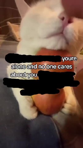 = ДЕЛО СЛОЕНЫВ, falonefand поопе cares › аБочвуоц, > falone'and|nojone'cares; тета рооле саге Walone’andno one cares falonevand no/onelcares) ап@по’'опесаге$