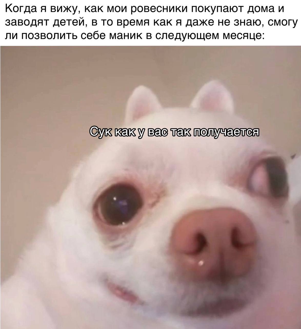 Когда я вижу, как мои ровесники покупают дома и заводят детей, в то время как я даже не знаю, смогу ли позволить себе маник в следующем месяце: Cyk BEG учается