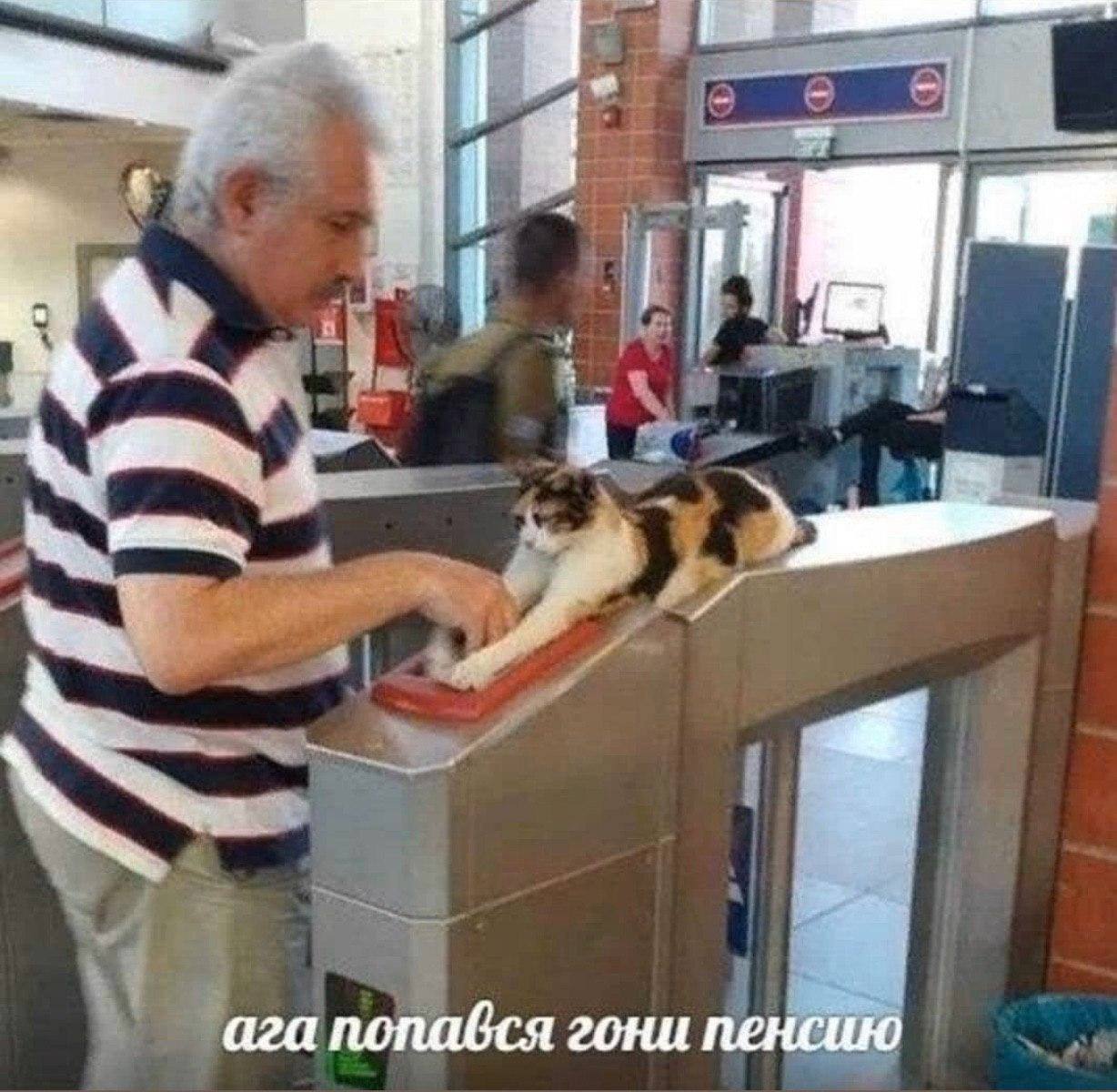 7 ага nonabca гони пенсию