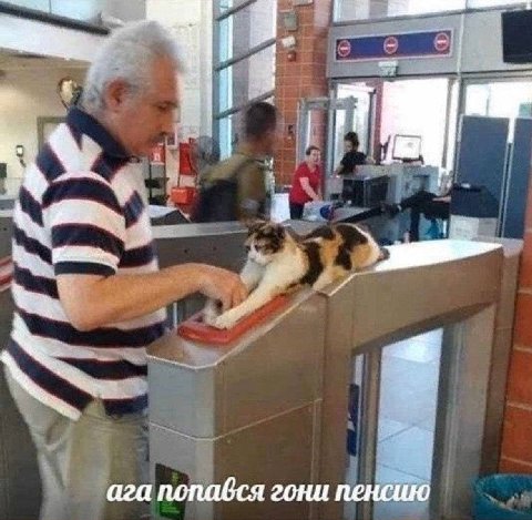 7 ага nonabca гони пенсию
