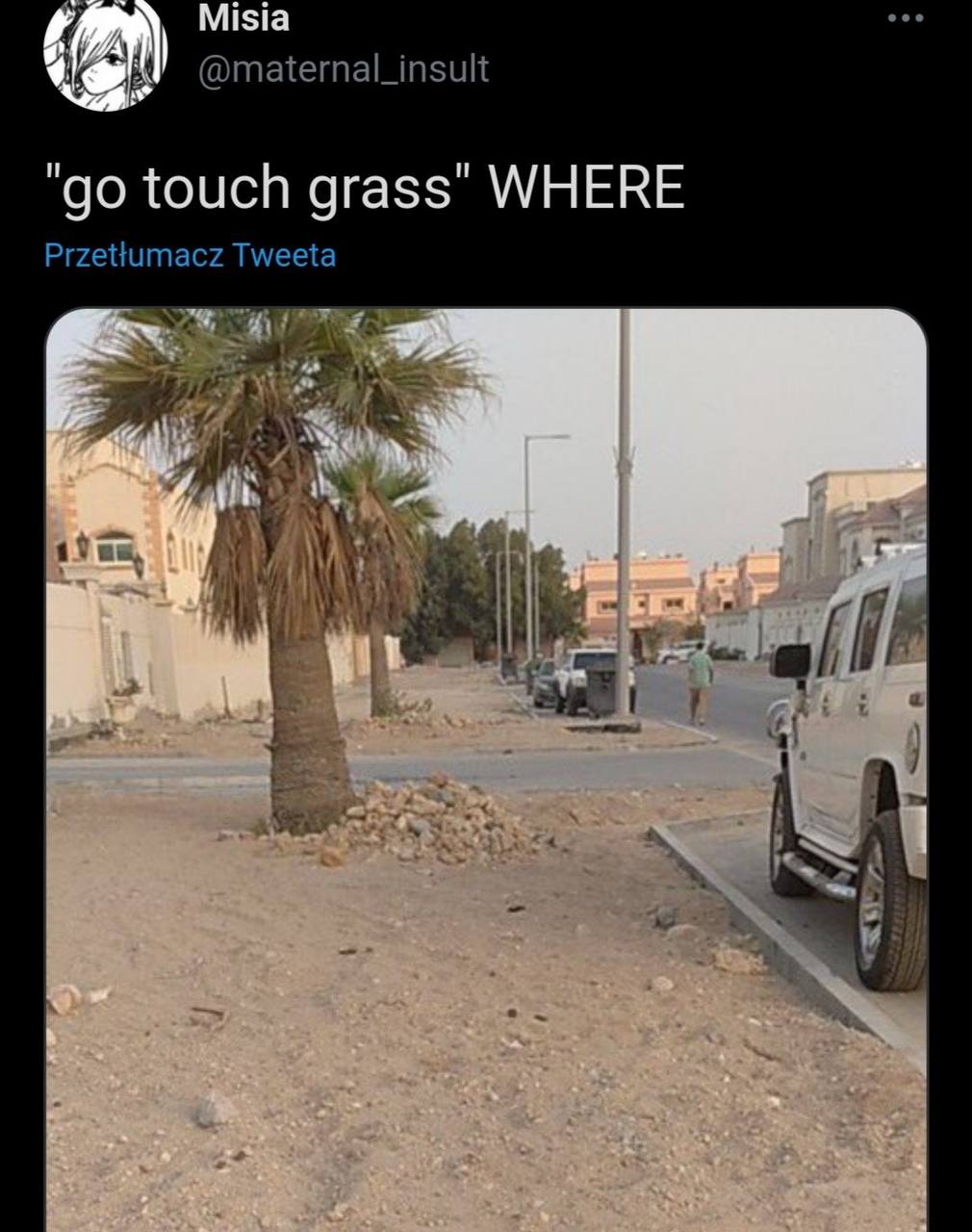 Misia @maternal_insult touch grass" WHERE Przettumacz Tweeta