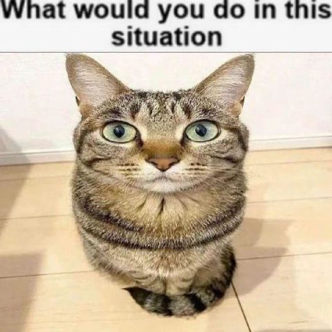 What would you this situation 4