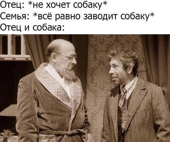 Отец: *не хочет собаку* Семья: *всё равно заводит собаку* Отец и собака: