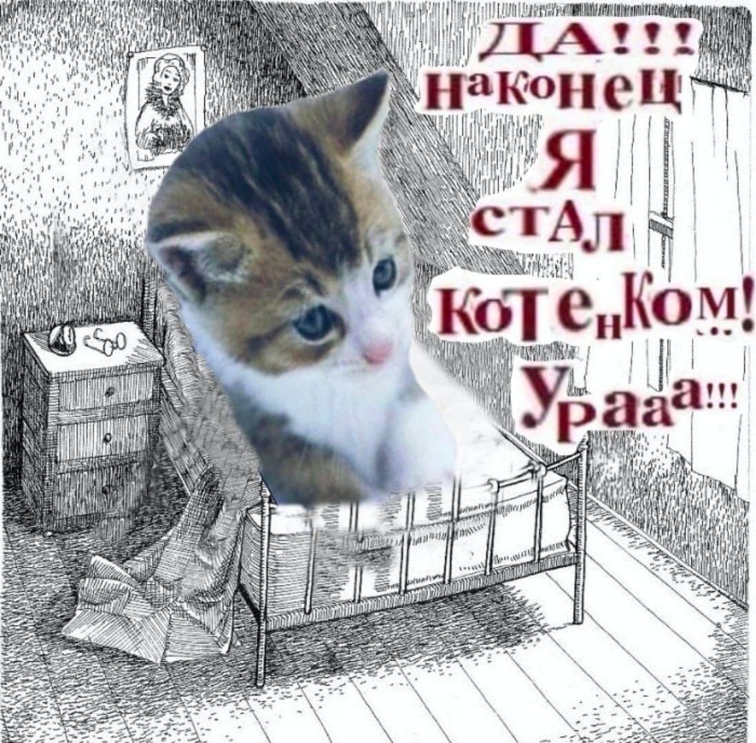 ДА НакКон It i о i it 5 i ЛИК