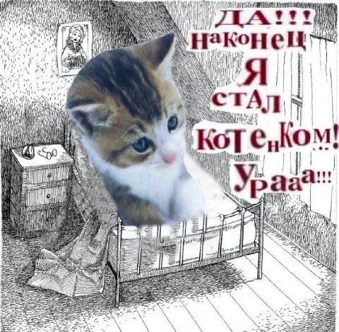 ДА НакКон It i о i it 5 i ЛИК