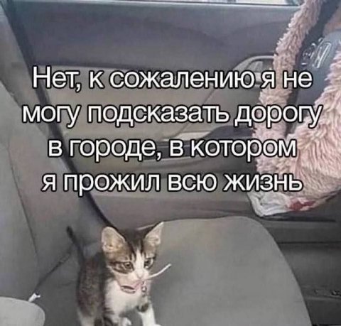 Нет, к сожалению"я ‘HE могу подсказать В городе, в я прожил всю 4 4