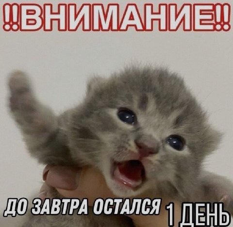 ДО ЗАВТРА ОСТАЛСЯ ДЕНЬ