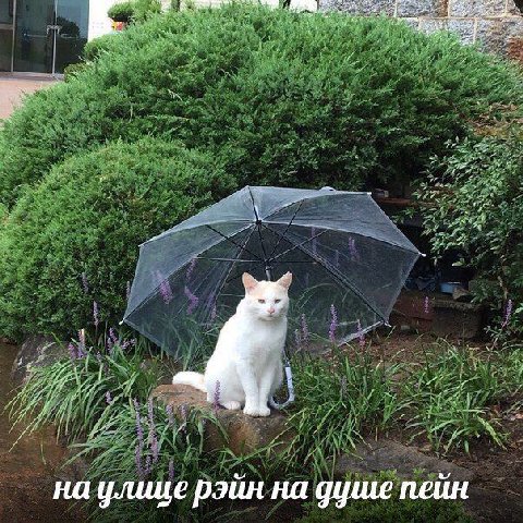 на улице рэйн на душе пейн