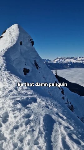 = PBdithat damn penguin