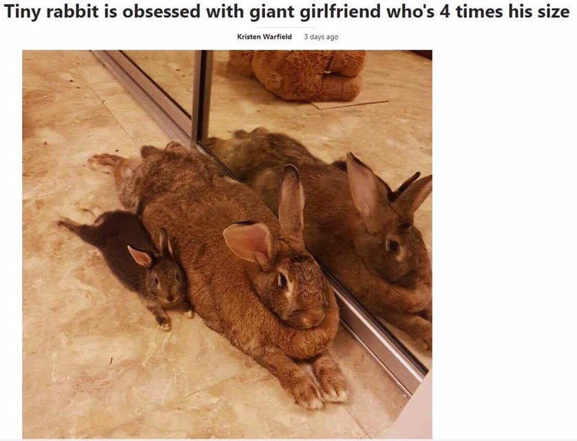 ищютакую🥰