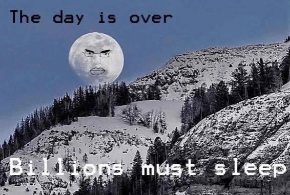 tree a Billions mast sleep an